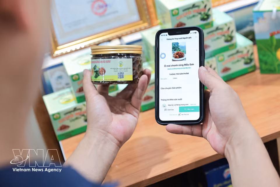 Mau Son Eco-farm Cooperative uses QR codes for origin traceability, raising product value and building consumer trust in local goods. (Photo: VNA)
