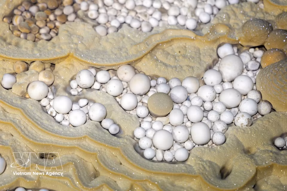 Beautiful cave pearls discovered inside Thang Cave. (Photo: Published by VNA)