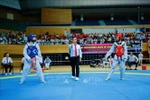 Hong Bang open int'l Taekwondo championship kicks off in Da Nang (Photo: VNA)