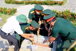 Illustrative image (Photo: VNA)