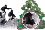 Cuc Phuong crowned Asia’s top national park for 5 consecutive years