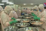 Seafood exports to FTA markets enjoy sharp rise