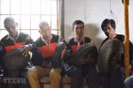 Gong casting introduced at seventh coffee festival