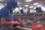 Six more Vietnamese firms eligible to export tra fish to US