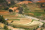 Festival highlights Mu Cang Chai terraced fields’ beauty