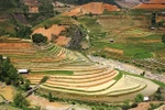 Festival highlights Mu Cang Chai terraced fields’ beauty