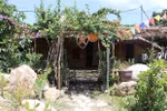 Go Co ancient village adds charm to Quang Ngai province