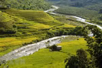 Golden terraces cast a spell over Si Lo Lau border area