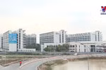 Nationwide urbanization rate reaches 41 percent