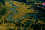 Beautiful, poetic Cao Bang in ripe rice season