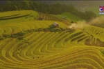 Yen Bai preserving ethnic minority cultures
