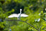 Ninh Binh promotes biodiversity preservation