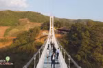 World’s longest glass-bottomed bridge in Vietnam wows int’l media