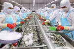 Restoration efforts help promote sustainable growth for fisheries sector