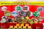 Bac Giang works hard to bring “thieu” litchi to more markets
