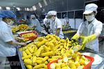 Agricultural trade surplus doubles in first eight months