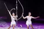 Vietnam wins gold at International Circus Festival