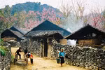 Ha Giang’s magnificent beauty lures travelers