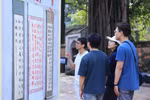 Exhibition features beauty of Vietnamese calligraphy