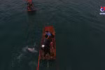 Quang Ninh: Stranded dolphin rescued in Co To