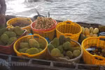 Cai Rang float market: highlight of Can Tho unique river culture 