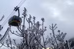 Hoarfrost blanketing top of Mount Fansipan