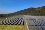 Vietnam looks to master technology in renewable energy