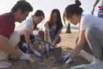 Miss Sea Island Vietnam 2022 contestants join hands to protect environment