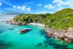 Con Dao welcomes first foreign cruise ship after pandemic ​
