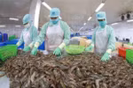 Three factors for Vietnam’s sustainable economic growth: Vietnam-briefing