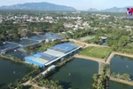 Ba Ria-Vung Tau developing environmentally-friendly rural trades