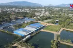 Ba Ria-Vung Tau developing environmentally-friendly rural trades