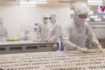 Bac Lieu develops shrimp value chain with hi-tech farming models