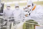 Vietnam gives priority to developing human resources in the area of AI and semiconductor. (Photo: VNA)