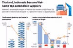 Thailand, Indonesia become Vietnam's top automobile suppliers