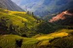 Vietnam’s heritages through the lens of French photographer