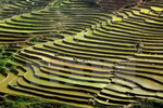 Beauty of Dien Bien’s high mountain villages