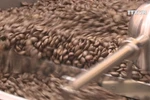 Coffee stockpiling recommended due to low prices