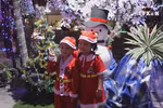 Christmas atmosphere spreads everywhere