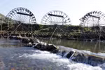 Na Khuong water wheels – unique cultural feature of north-western region