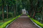 Hanoi to launch new pedestrian zone in Son Tay
