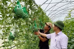 High-tech farming brings good profits to former graphic designer