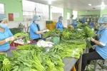 Fruit, vegetable exports expected to revive after nine-month slump