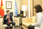 Vietnam achieves targets during UNSC presidency month: Ambassador 