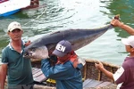 Fishery sector works to remove IUU yellow card warning