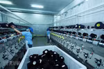 Enterprises look to enhance links to prevent future disruptions to supply chains