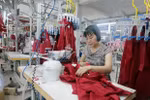Foreign Ministry: Vietnam recovers economy during, after COVID-19