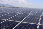 35Mwp solar power farm opens in Ninh Thuan