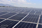 35Mwp solar power farm opens in Ninh Thuan