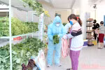 Mobile supermarket gives free food to poor people in Da Nang